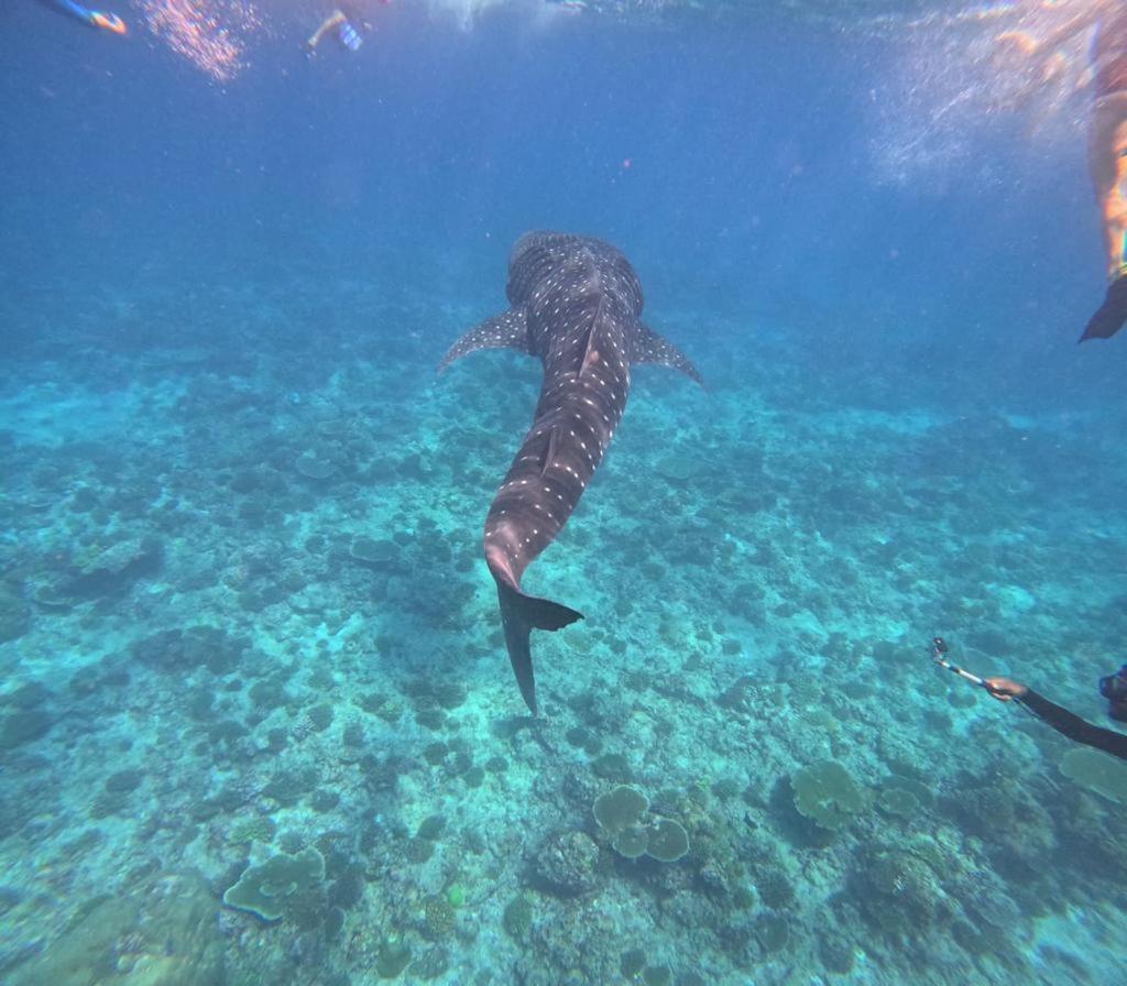 Отель Raalhu Fonu Maldives Mahibadhoo Экстерьер фото