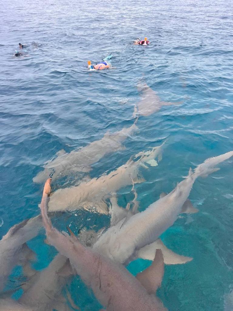 Отель Raalhu Fonu Maldives Mahibadhoo Экстерьер фото
